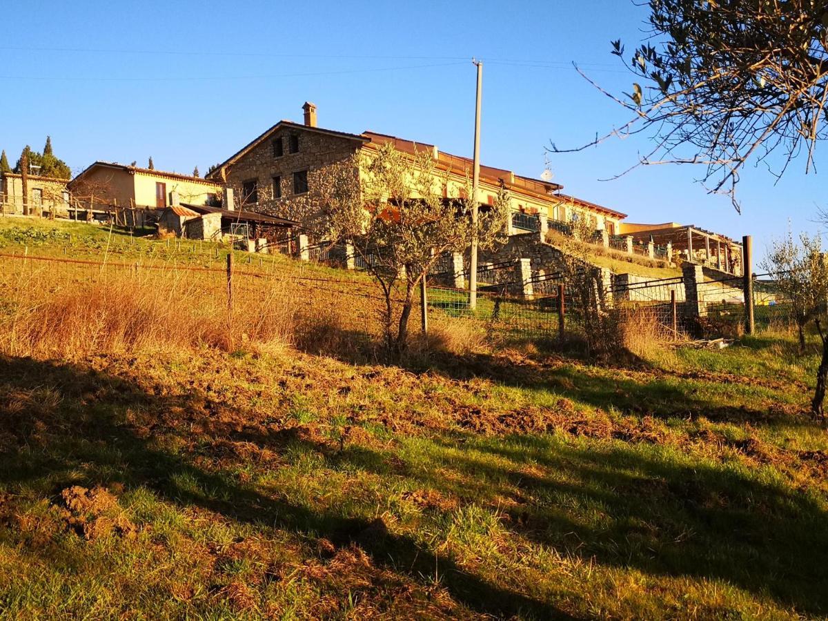 Agriturismo Olimpo Villa Santa Maria  Ngoại thất bức ảnh