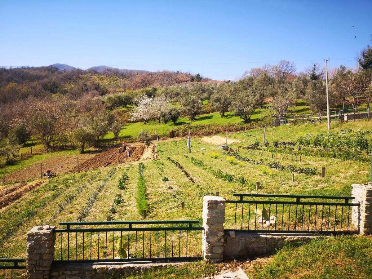 Agriturismo Olimpo Villa Santa Maria  Ngoại thất bức ảnh