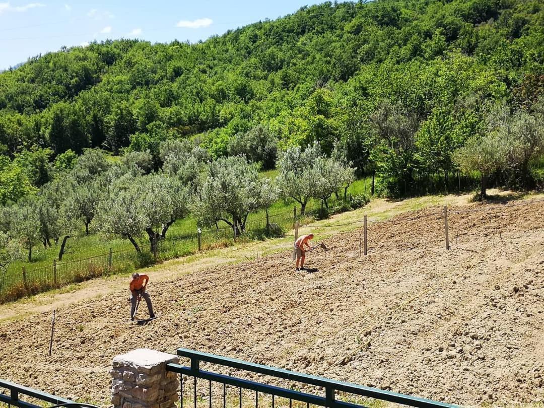Agriturismo Olimpo Villa Santa Maria  Ngoại thất bức ảnh