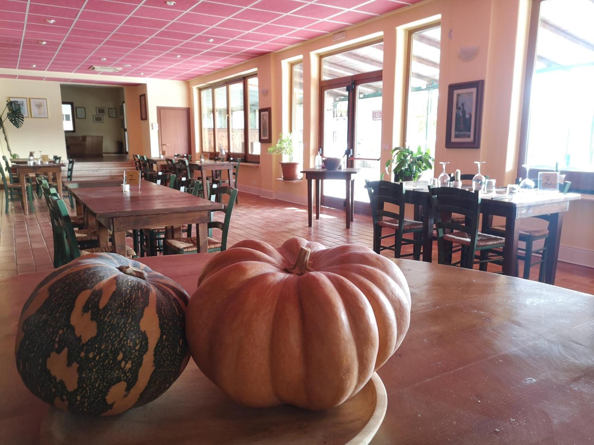 Agriturismo Olimpo Villa Santa Maria  Ngoại thất bức ảnh