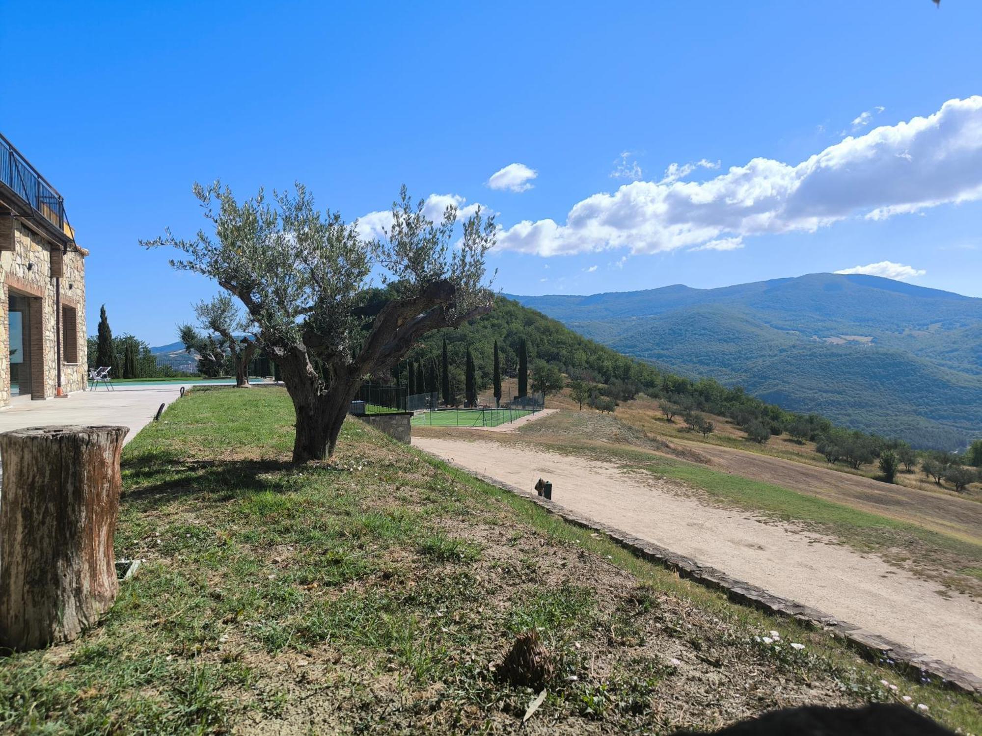 Agriturismo Olimpo Villa Santa Maria  Ngoại thất bức ảnh